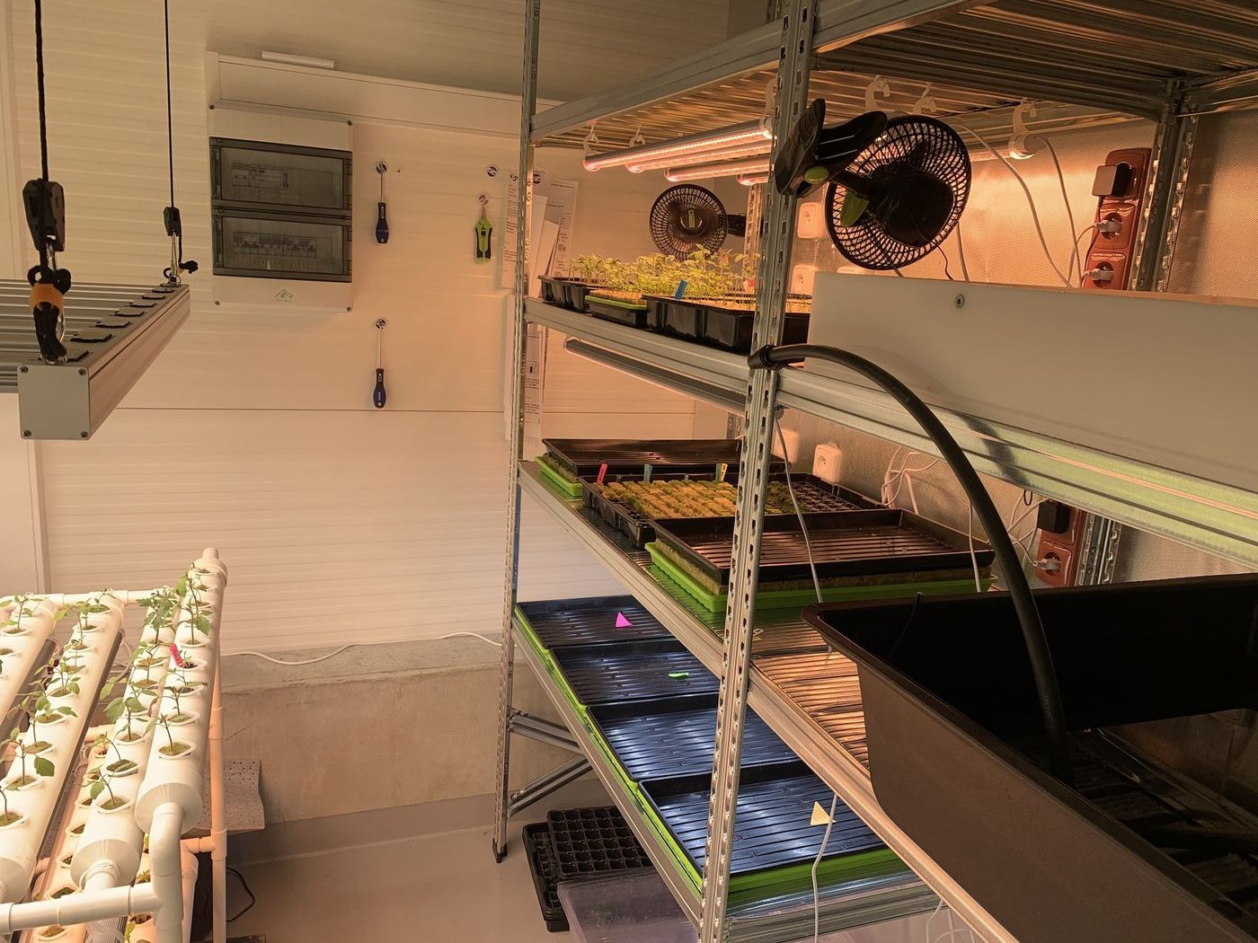 Ostrý start výroby microgreens