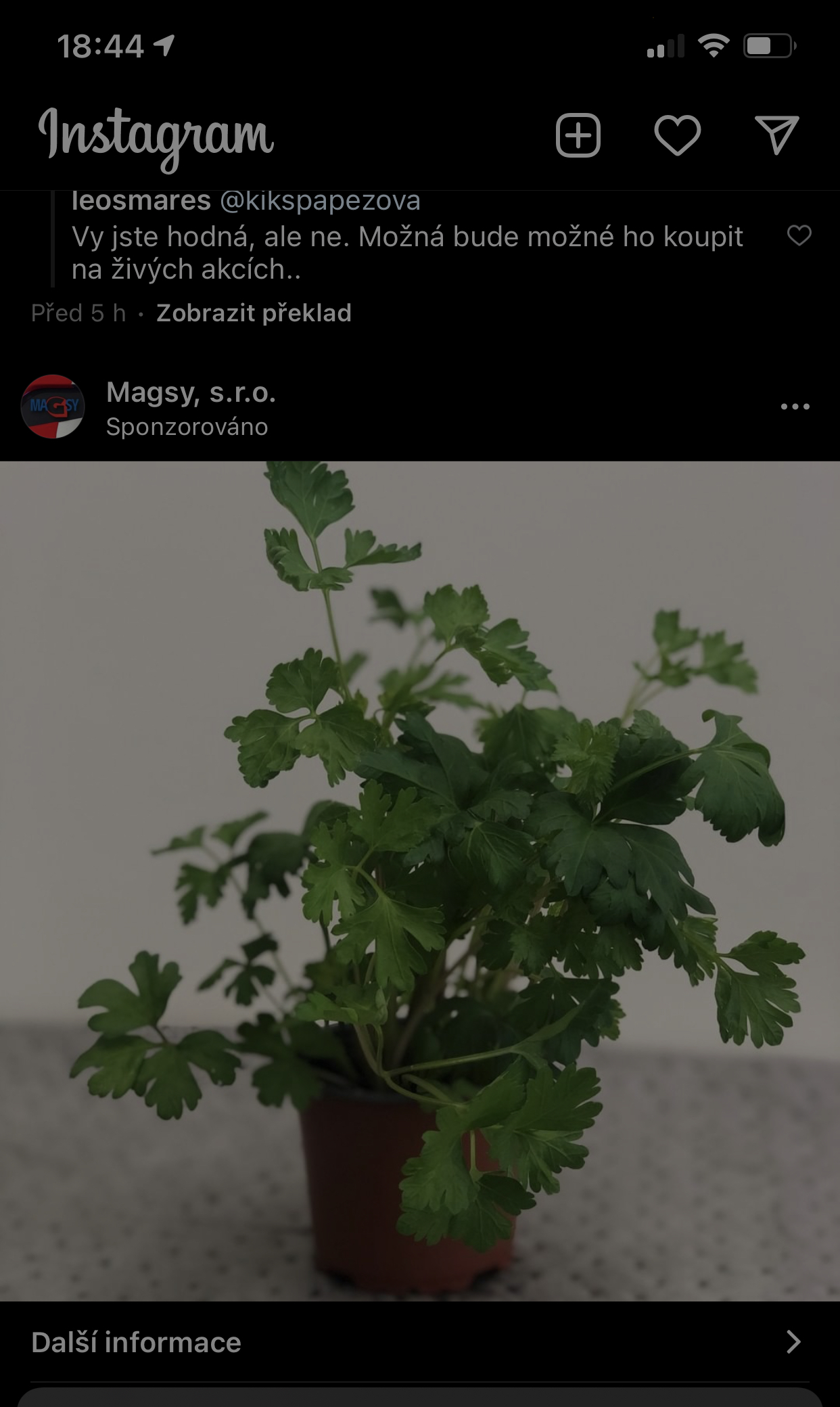 Sponzorovaná nabídka petržele firmy MAGSY na Instagramu